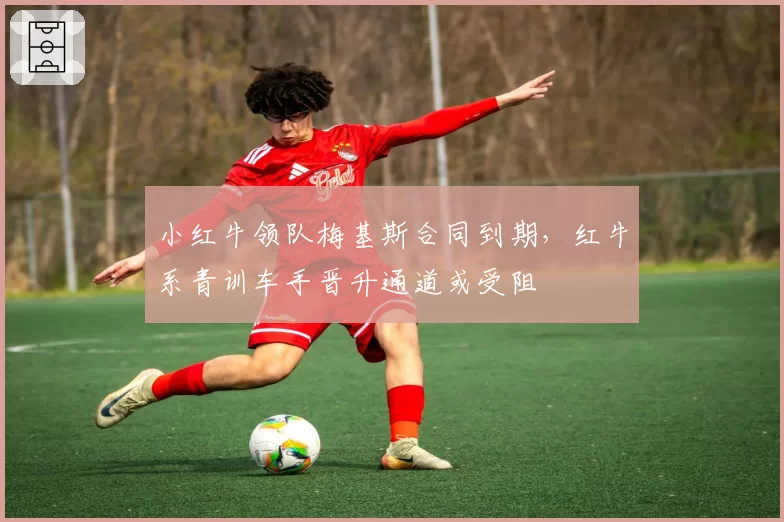 小红牛领队梅基斯合同到期,红牛系青训车手晋升通道或受阻