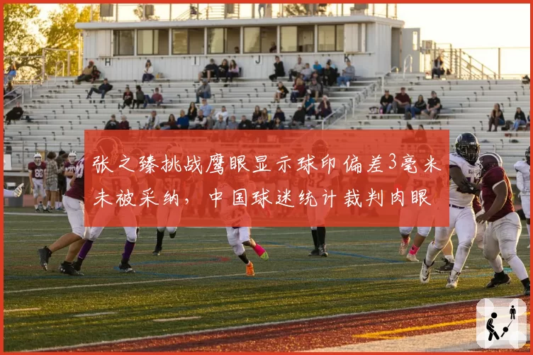 张之臻挑战鹰眼显示球印偏差3毫米未被采纳,中国球迷统计裁判肉眼误判率高达60%